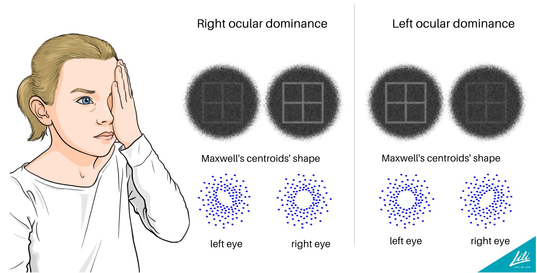 maxwell’s centroids lili