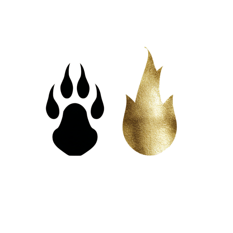 Harold Hiccup – Dragons Harry Potter